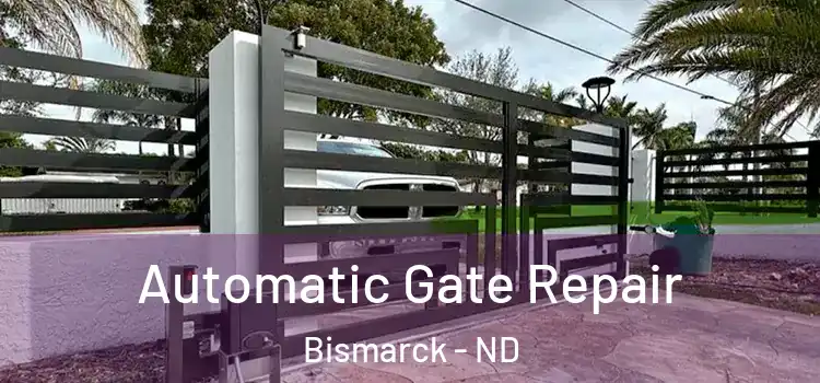 Automatic Gate Repair Bismarck - ND