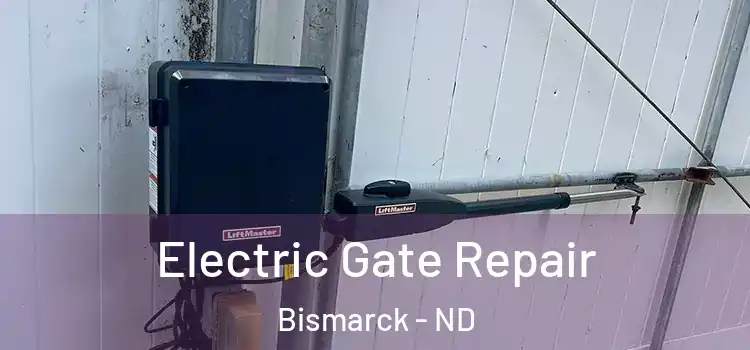Electric Gate Repair Bismarck - ND