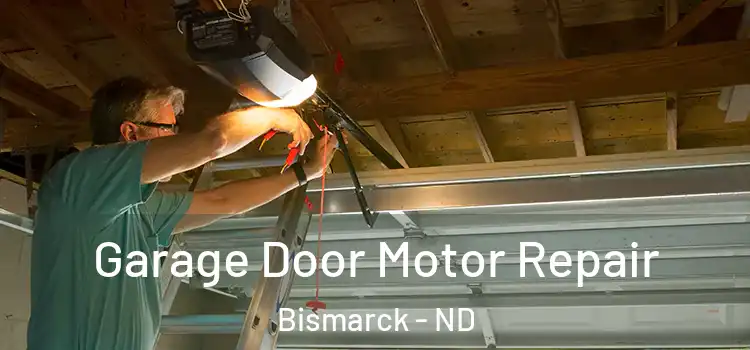 Garage Door Motor Repair Bismarck - ND