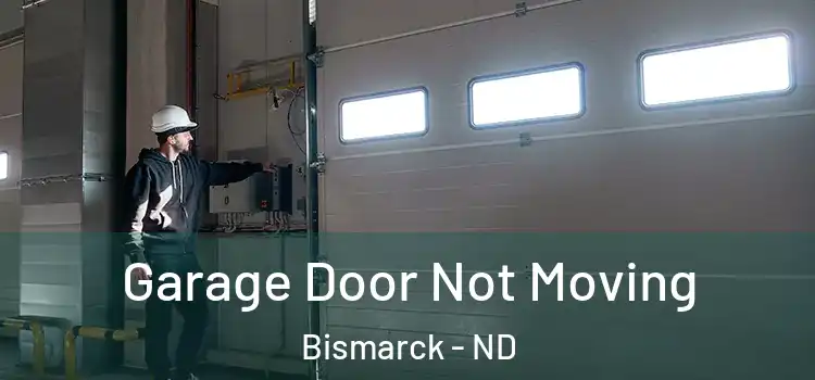  Garage Door Not Moving Bismarck - ND