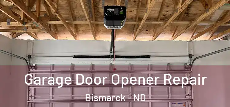  Garage Door Opener Repair Bismarck - ND