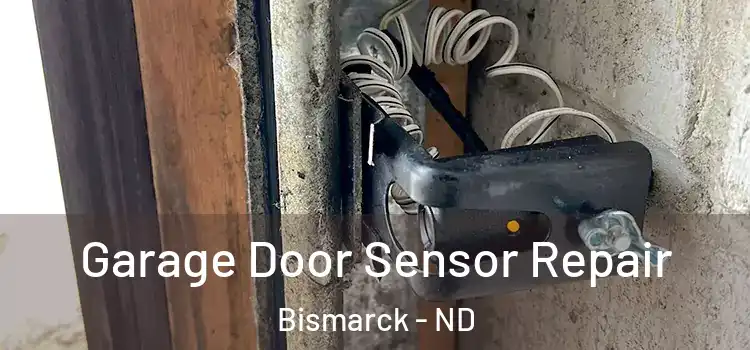Garage Door Sensor Repair Bismarck - ND