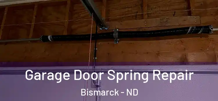  Garage Door Spring Repair Bismarck - ND