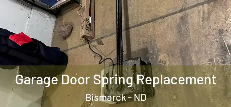  Garage Door Spring Replacement Bismarck - ND