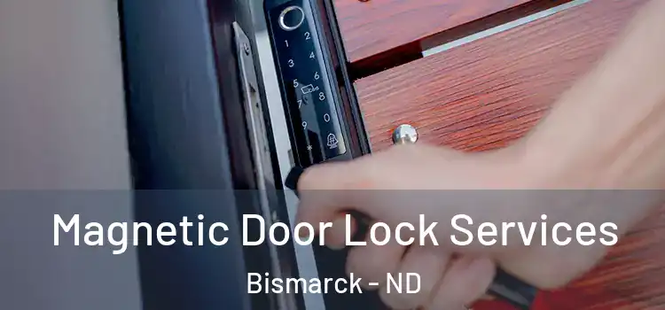 Magnetic Door Lock Services Bismarck - ND