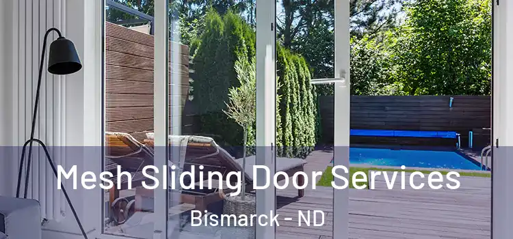 Mesh Sliding Door Services Bismarck - ND
