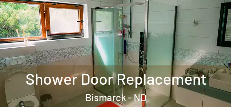 Shower Door Replacement Bismarck - ND